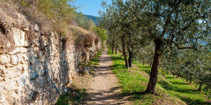 Comune di Spello – proposte progettuali presso sentiero escursionistico Acquedotto Romano
