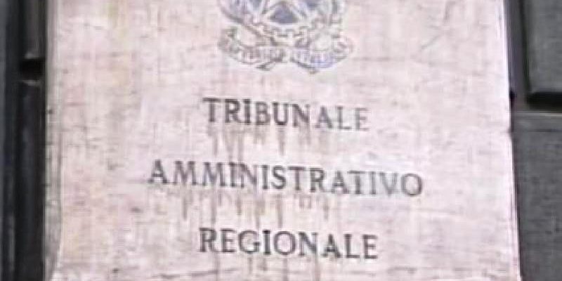 I giudici amministrati legittimano la co-progettazione per le Onlus